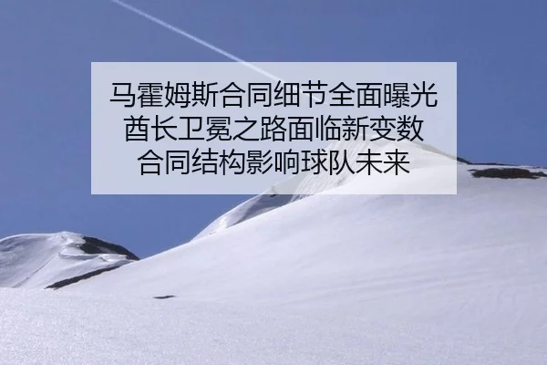 ma-huo-mu-si-he-tong-xi-jie-quan-mian-bao-guang-qiu-zhang-wei-mian-zhi-lu-mian-lin-xin-bian-shu-he-tong-jie-gou-ying-3-931.jpg