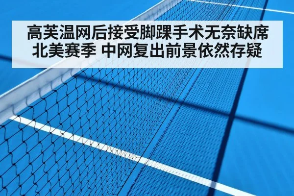 高芙温网后接受脚踝手术无奈缺席北美赛季 中网复出前景依然存疑